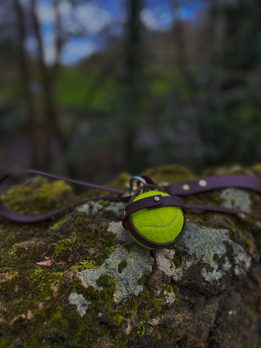 Tennis ball inside a dog ball carrier made with a waterproof webbing to surround it 