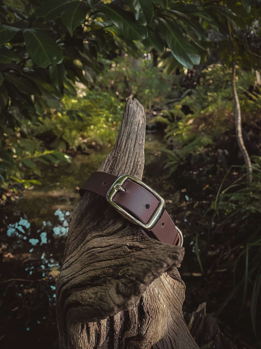 Dog collar perched on a log infront of water and trees showing its waterproof practical nature 